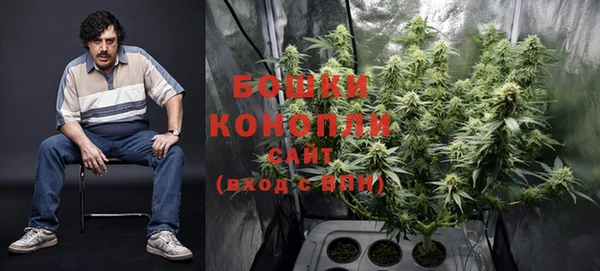 прущая мука Корсаков