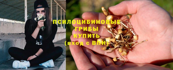бутират Костерёво