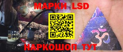 гидра Гатчина