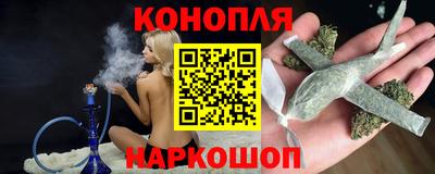 гидра Гатчина