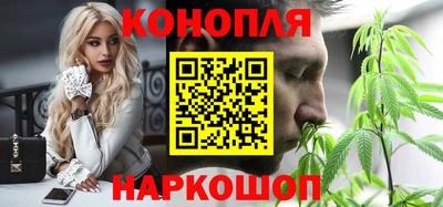 гидра Гатчина
