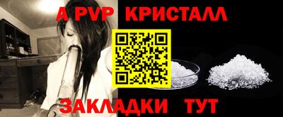 гидра Гатчина