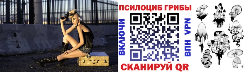 купить закладку  Орск  Псилоцибиновые грибы GOLDEN TEACHER 