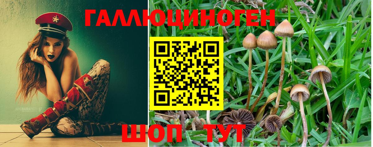 Галлюциногенные грибы Psilocybe  Галлюциногенные грибы GOLDEN TEACHER  Орск 