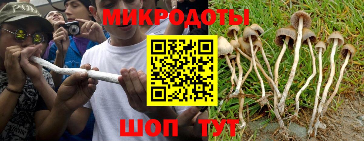Галлюциногенные грибы GOLDEN TEACHER  Вход с VPN  Орск 