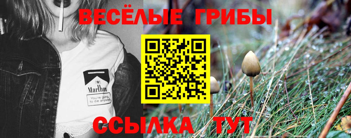 Псилоцибиновые грибы MAGIC MUSHROOMS Орск