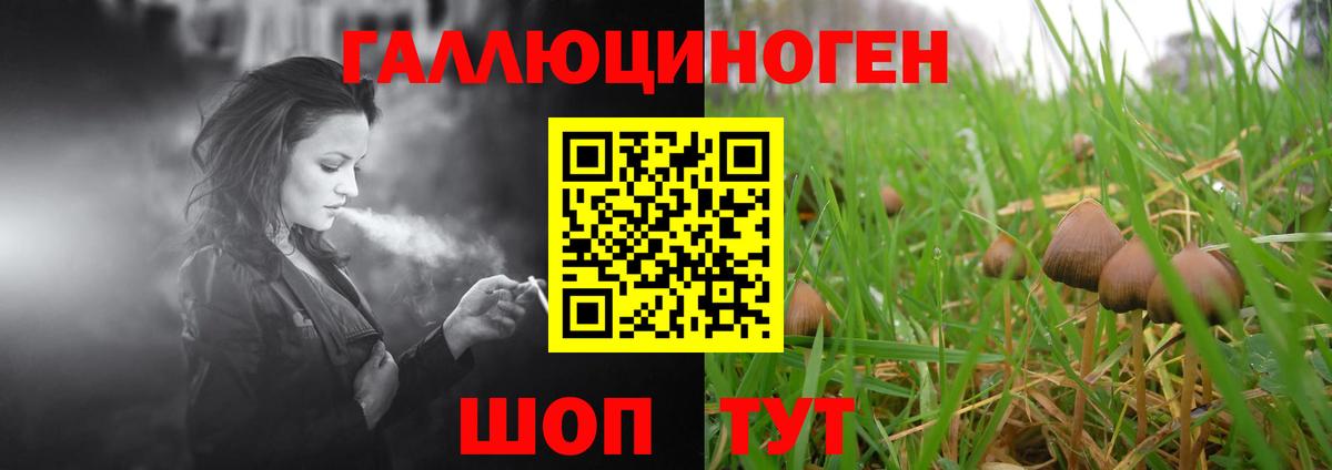 Галлюциногенные грибы прущие грибы Орск