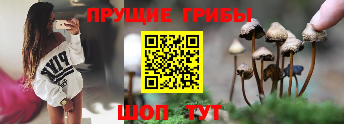 Псилоцибиновые грибы Psilocybine cubensis  Вход с VPN  Орск 